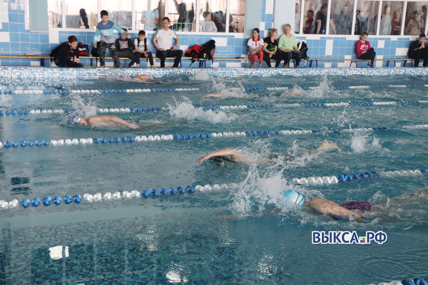 Пловцы завоевали 12 золотых медалей на турнире в Радужном