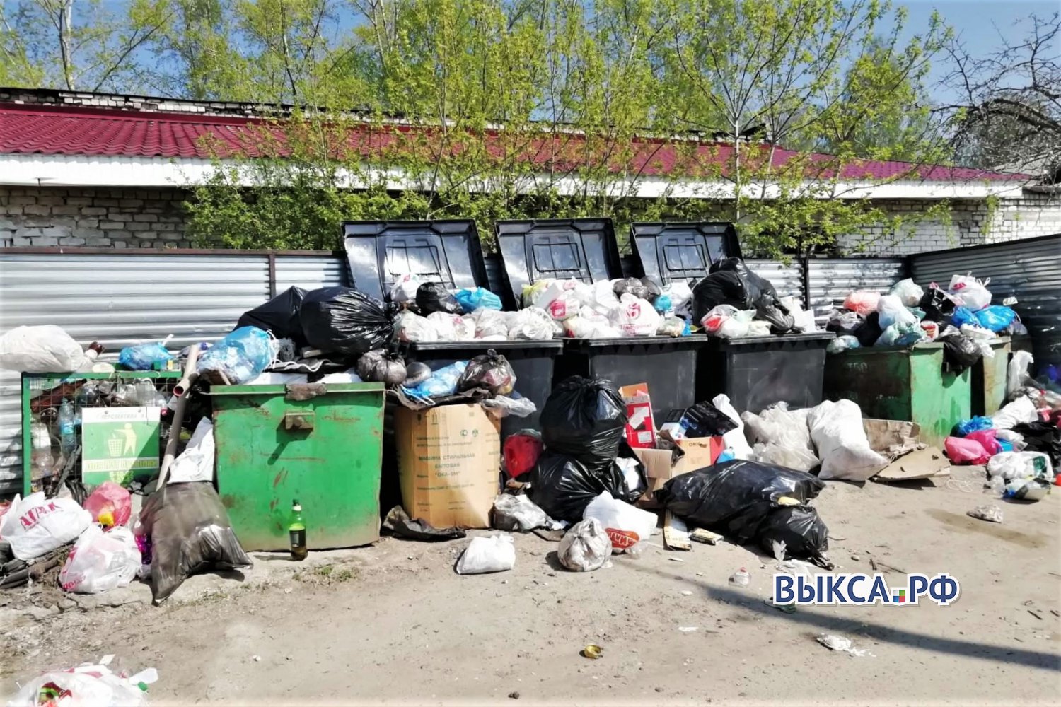 Ближнепесоченцы выносят мусор в соседний посёлок