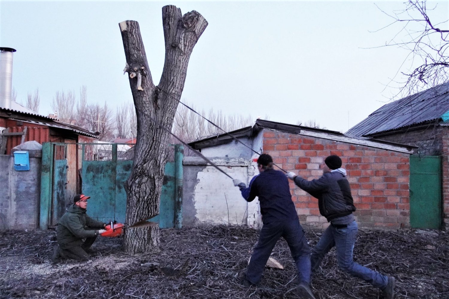 В Выксе спилят 227 кубометров аварийных деревьев