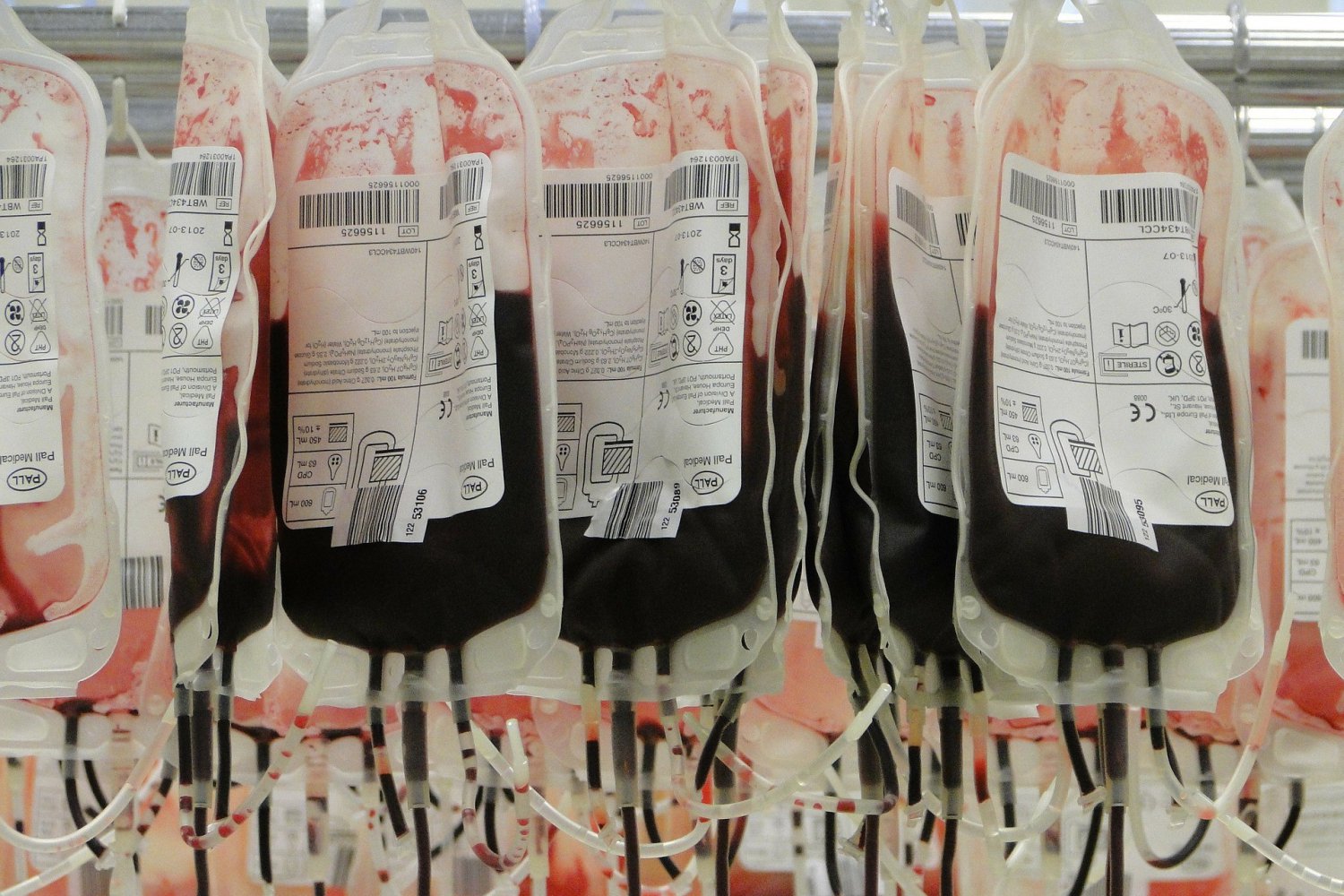 Нижегородцы получат повышенную компенсанцию за сдачу крови