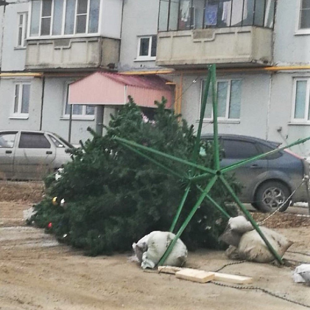 Ветер повалил новогоднюю ёлку в Мотмосе