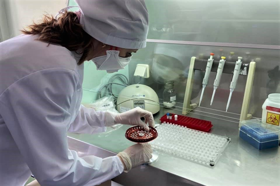 В России провели более 165 тысяч исследований на коронавирус