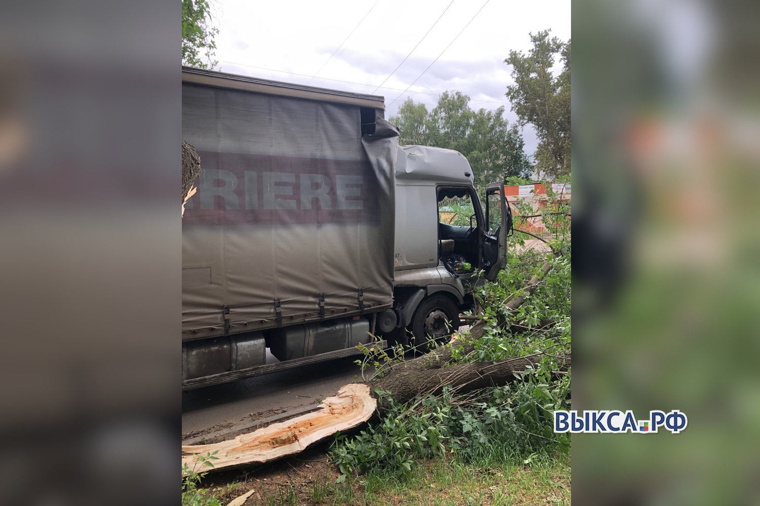 Дерево упало на грузовик во время движения
