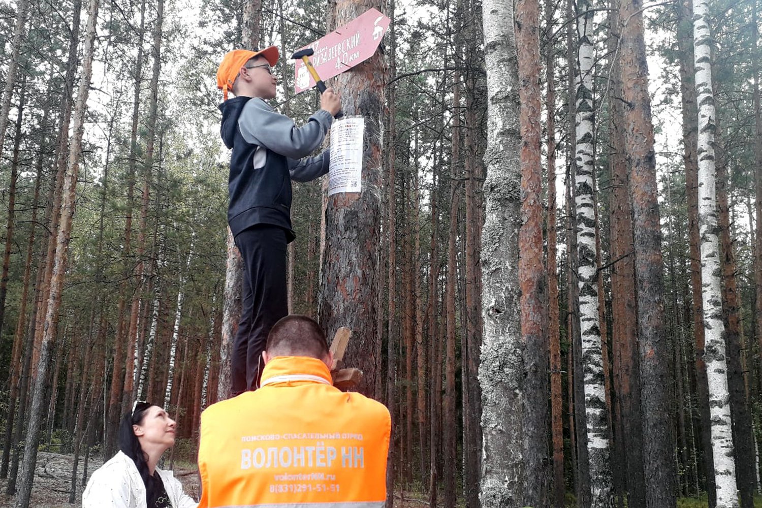 Волонтёры установили стрелки-указатели в лесу у посёлка Ризадеевский