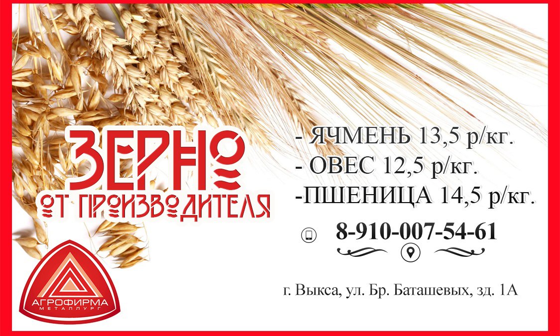 Покупайте зерно с полей агрофирмы «Металлург»