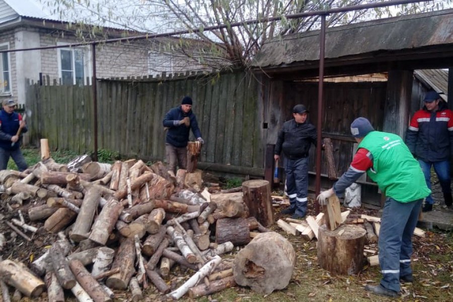 Металлурги помогли ветерану заготовить дрова на зиму