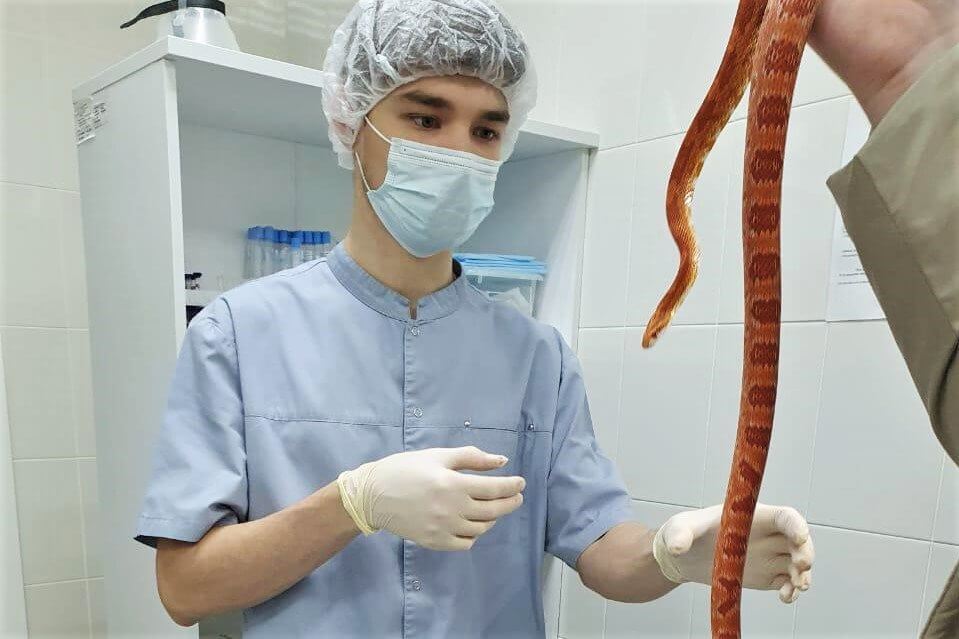 Клиническая лаборатория для животных заработала в регионе