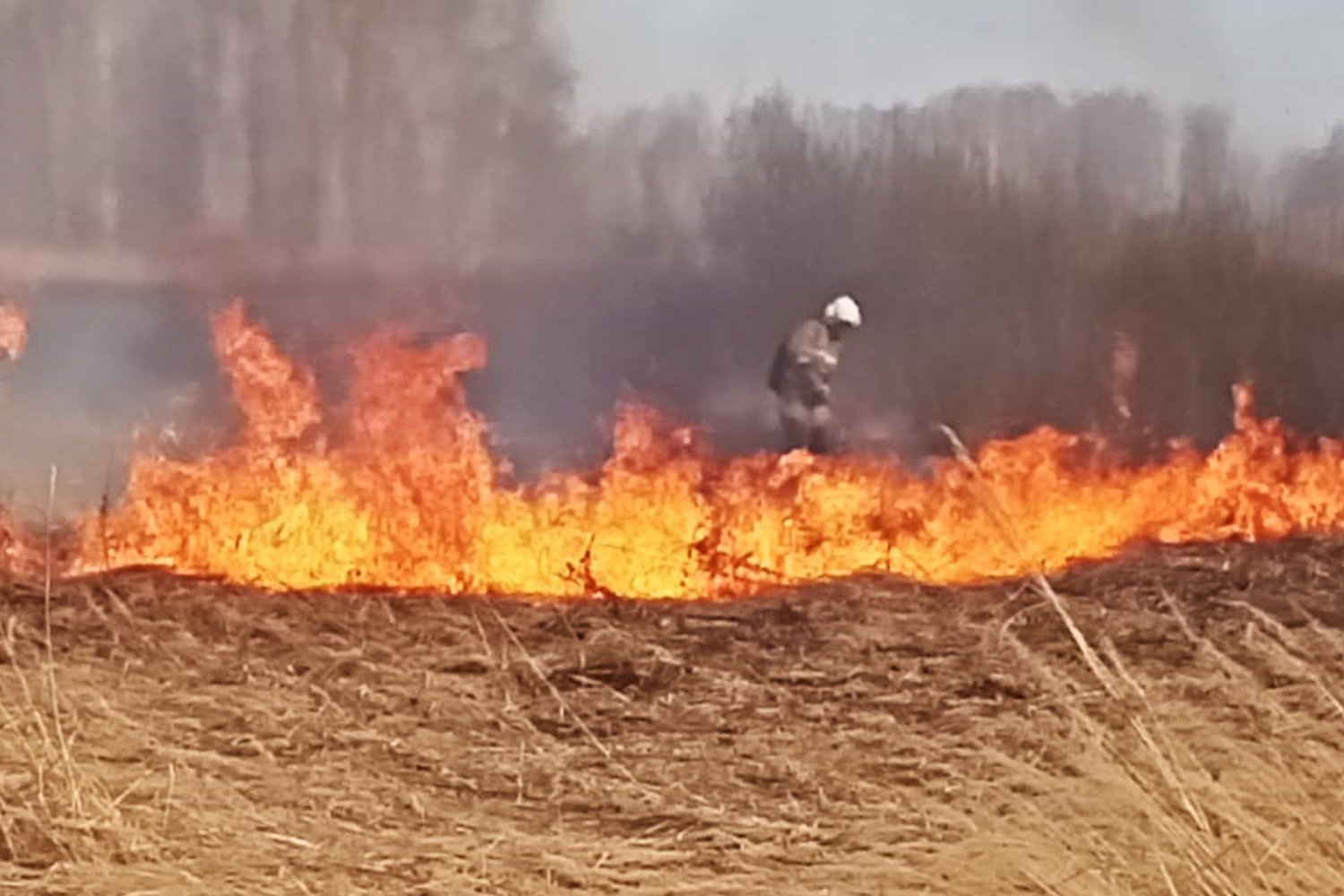 В субботу пожарным дважды пришлось тушить горящую траву
