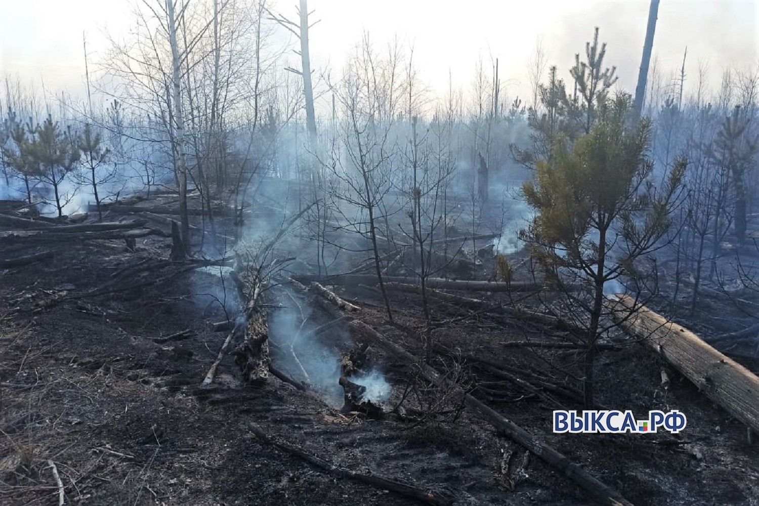 Ещё два лесных пожара произошли в Выксе