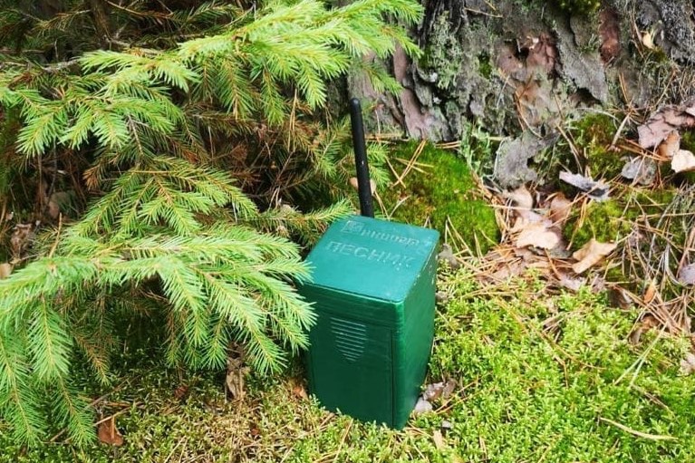 Вторую незаконную рубку деревьев обнаружили в Выксе с помощью прибора «Лесник»