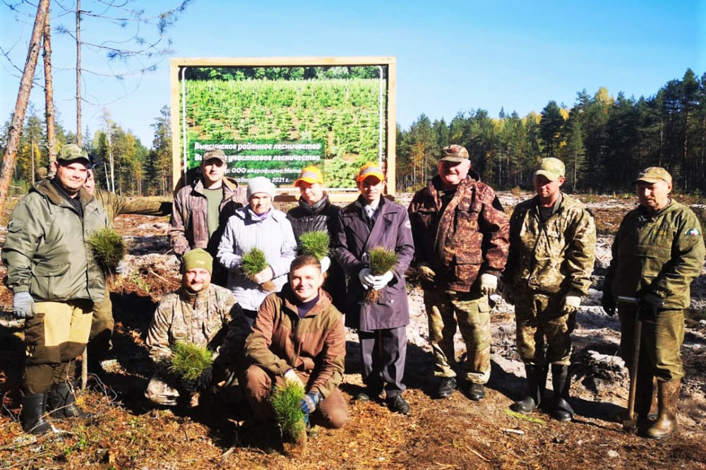 Более 7 тысяч деревьев высадили в Выксе