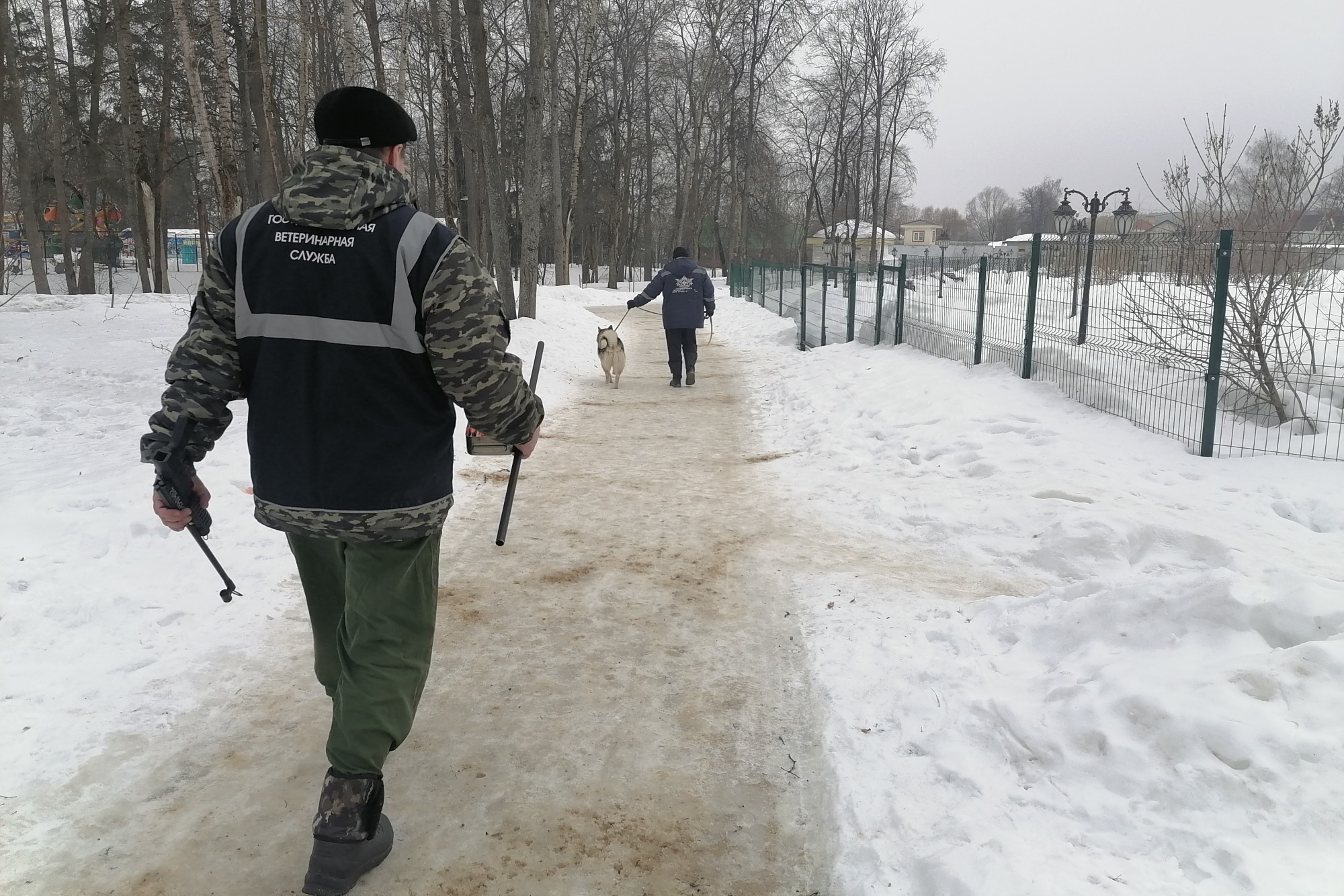 Выкса заключила контракт на отлов бродячих собак