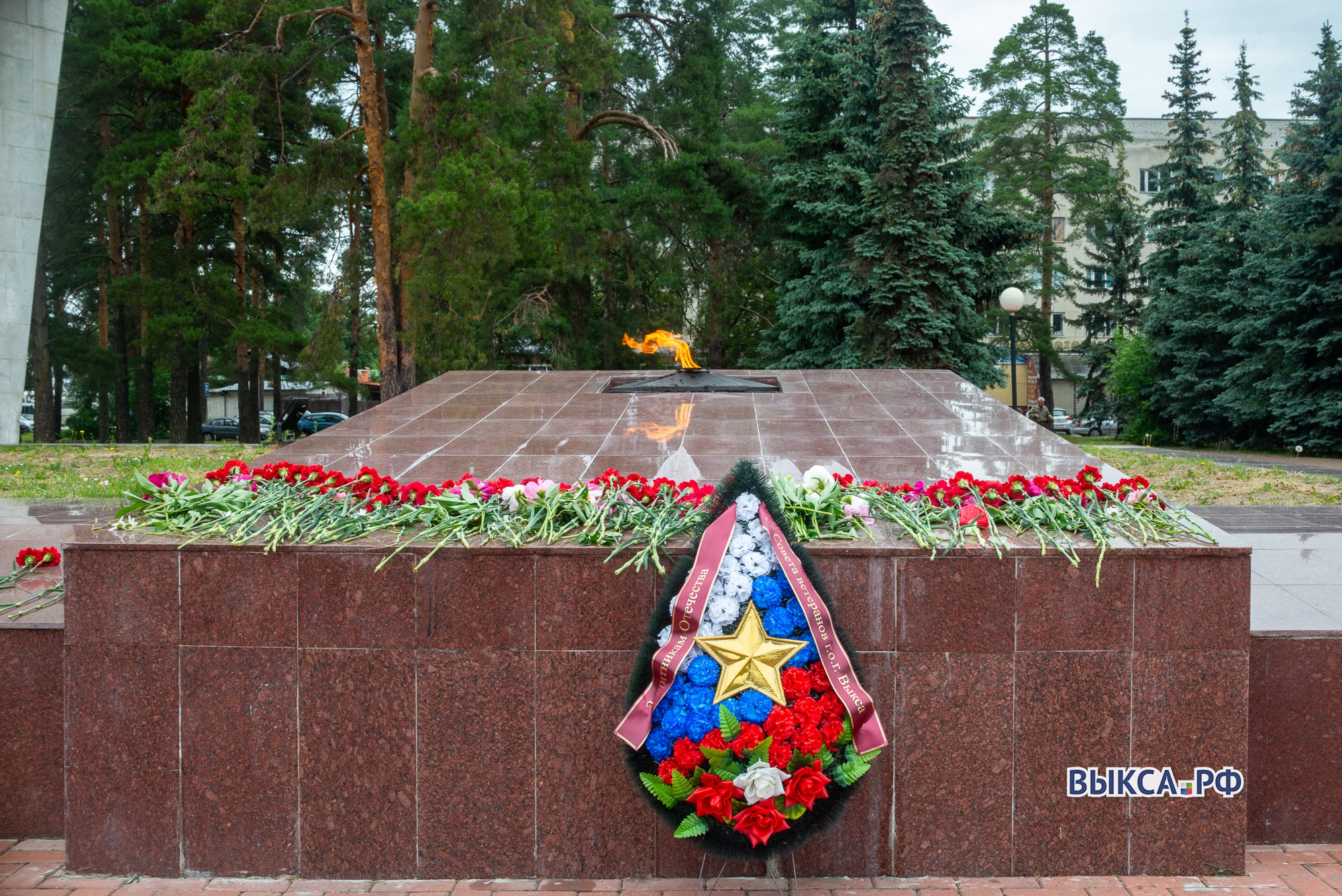 Участники митинга возложили цветы к Вечному огню 📸