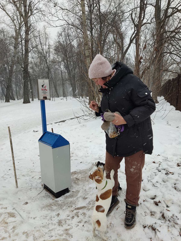 Дог-боксы для собаководов появились в Выксе