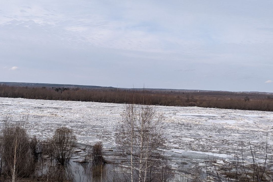 На Оке пошёл лёд