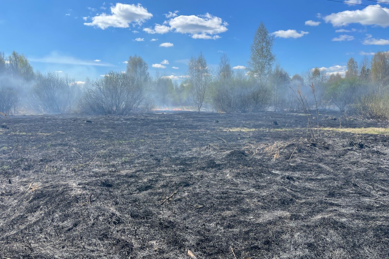 Травяной пожар потушили в Досчатом