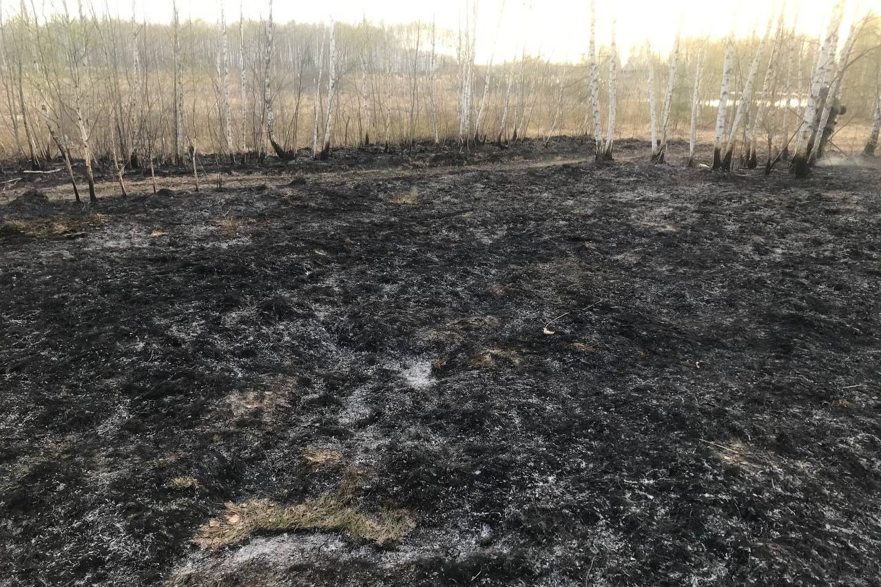 Более 1 000 м² сухой травы сгорели в Мотмосе и Ближне-Песочном