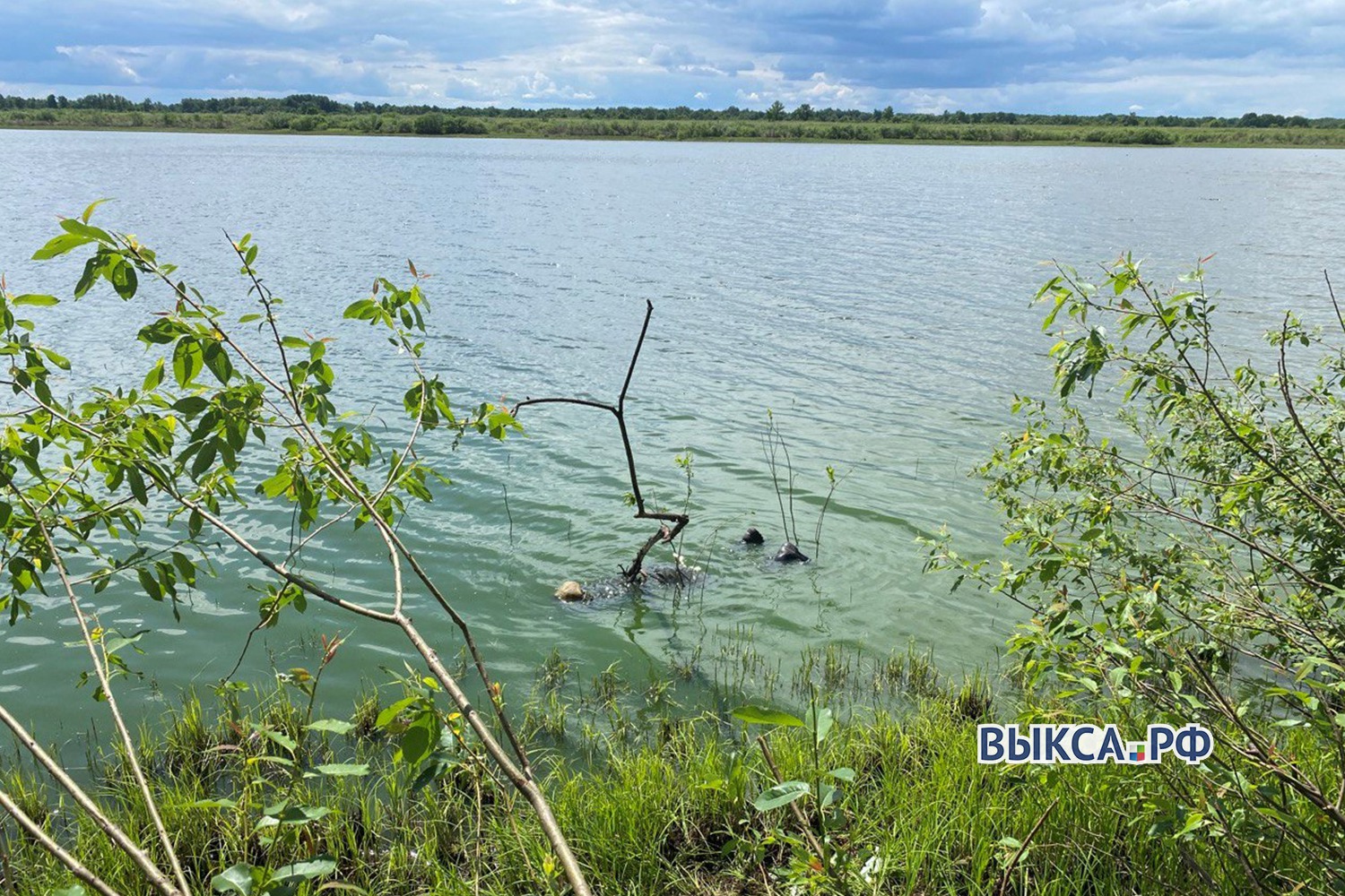 Тело рыбака нашли на озере Чёрный Яр