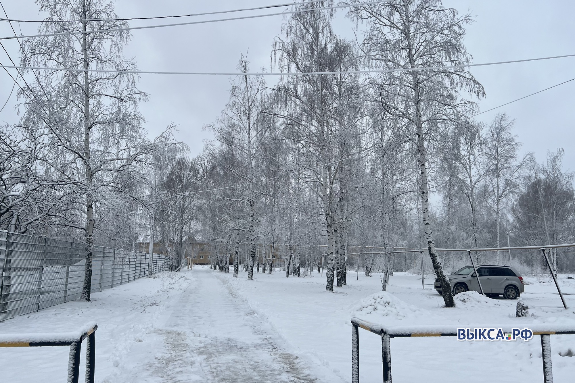 Погода в выксе на год