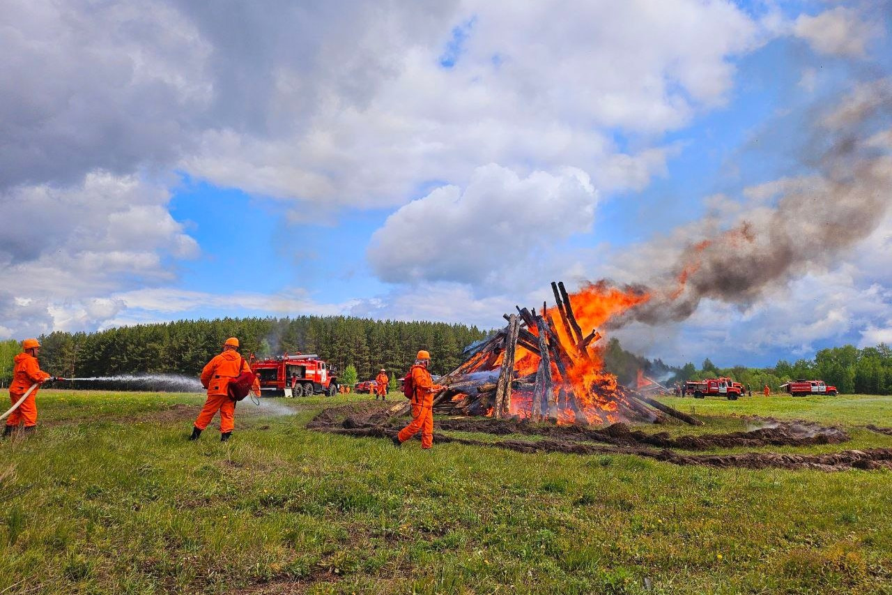 Учения по тушению лесных пожаров провели в Выксе