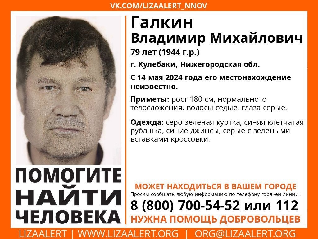 В Кулебаках пропал 79-летний Владимир Галкин