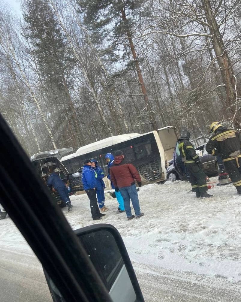 Два человека погибли в ДТП с автобусом у поселка Дружба