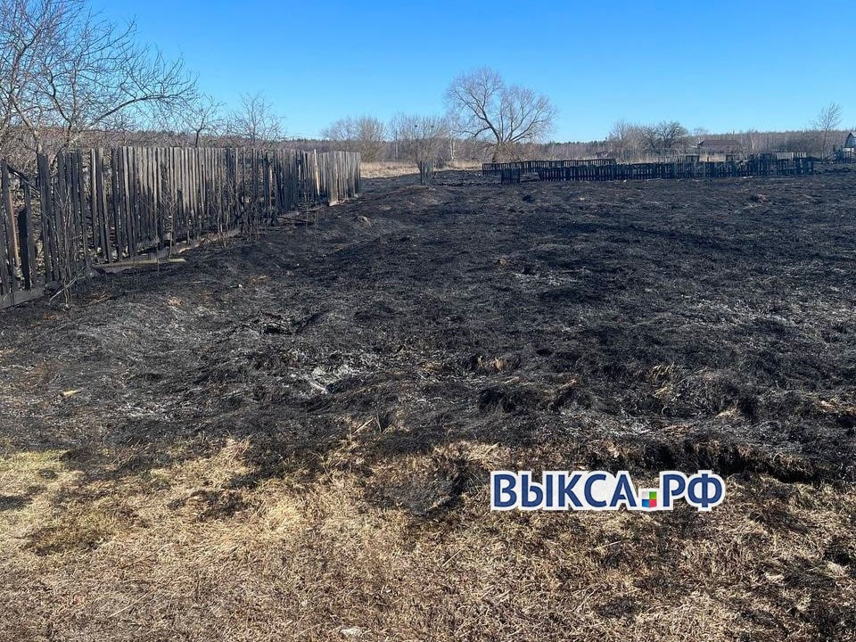 В Туртапке неизвестные подожгли сухую траву