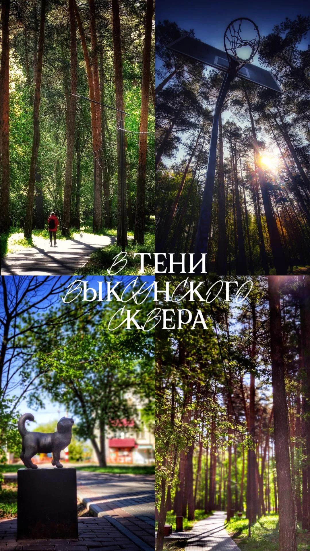 В тени выксунского сквера