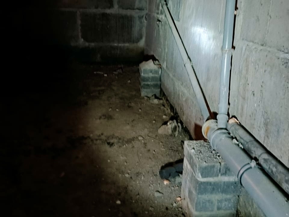 Проблема подтопления подвалов в домах на улице Шухова: что делается для её решения