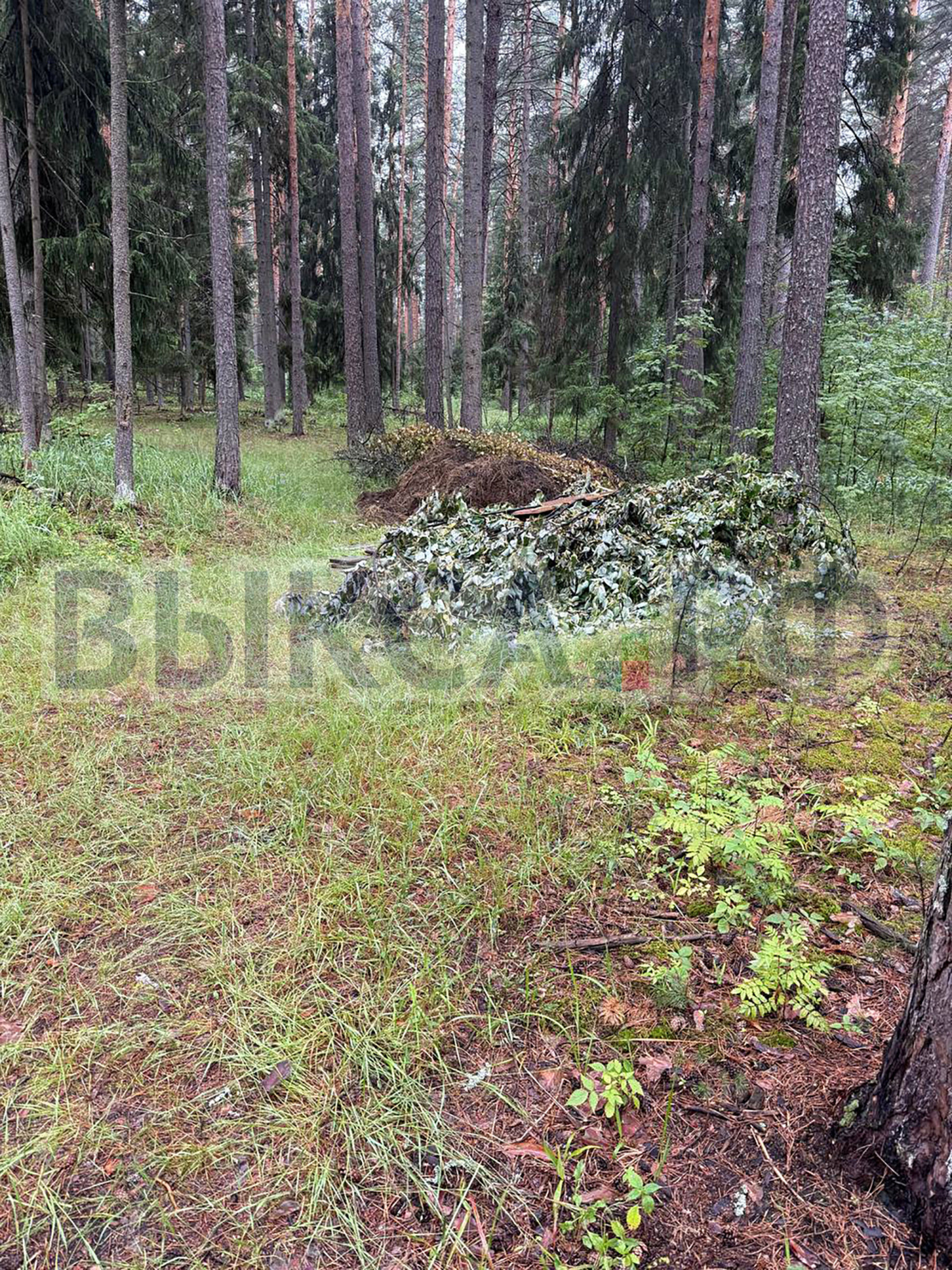 Выксунцы остановили незаконную свалку в Ризадеевском лесу