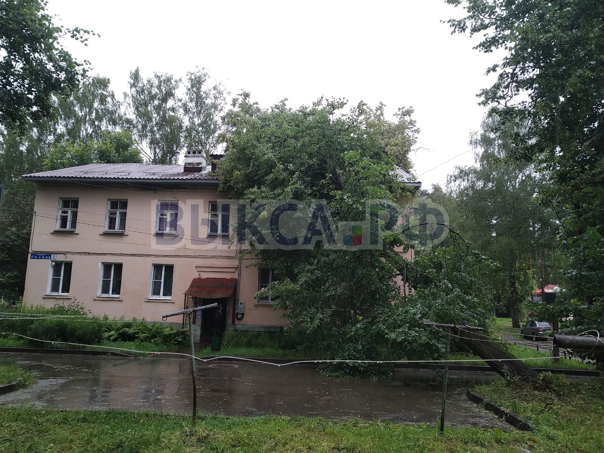 В микрорайоне Гоголя оперативно убрали упавшее на дом дерево