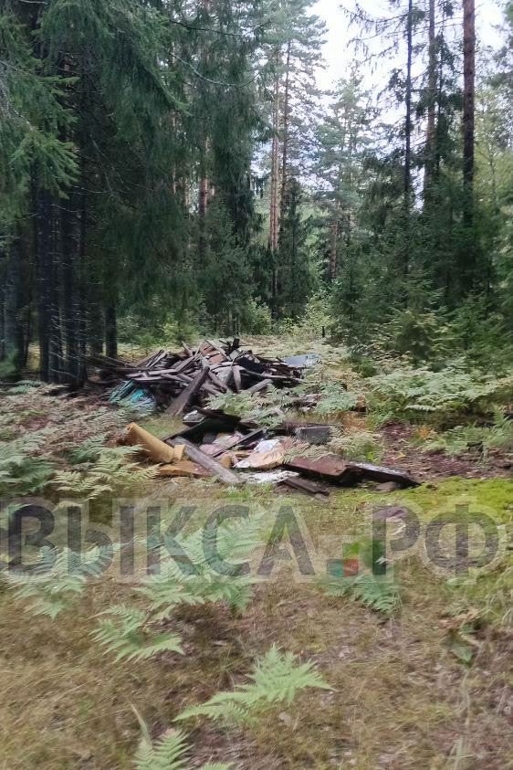 В лесу у Новодмитриевки обнаружена свалка
