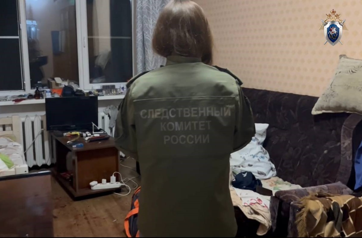 Житель Омска пытался зарезать двух мужчин в Выксе