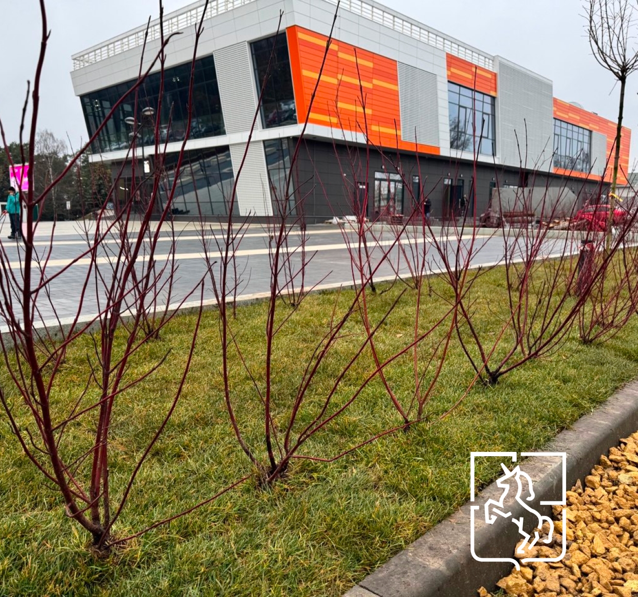 В Выксе стартовал этап озеленения на объектах благоустройства 2025 года