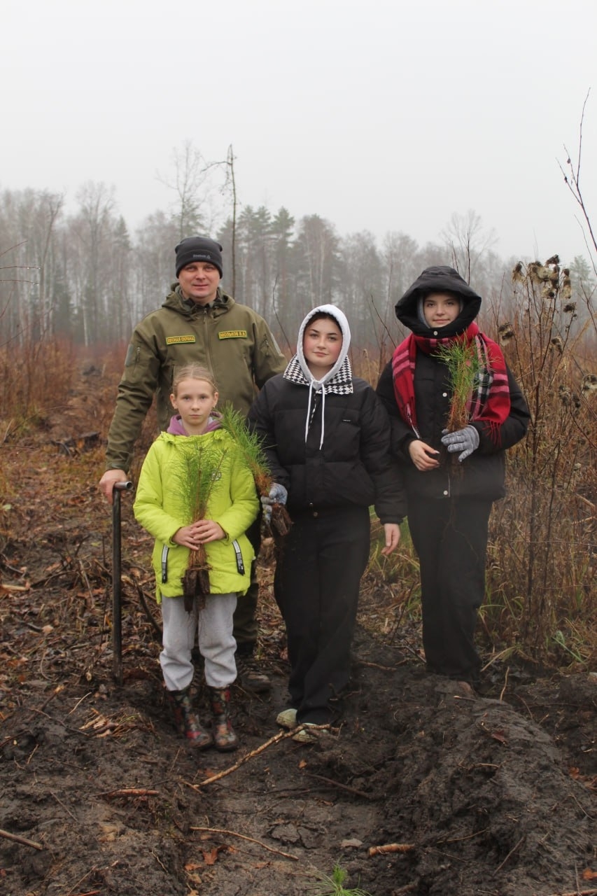 В выксунском лесу стало на 1 000 сосен больше
