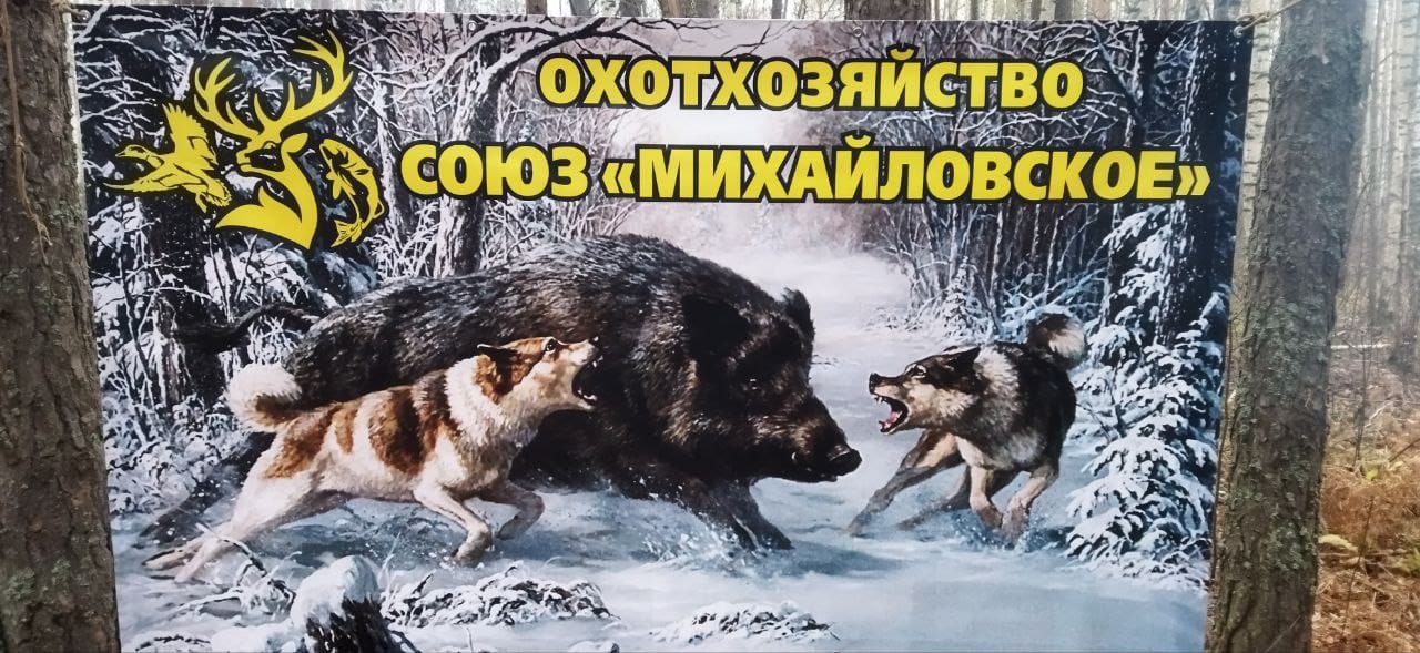 В Выксе прошли первые Межрегиональные испытания гончих по зайцу-беляку