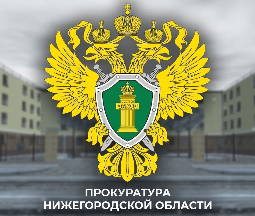 Прокуратура Нижегородской области взяла на контроль установление обстоятельств ДТП в Выксе, в котором погиб ребенок