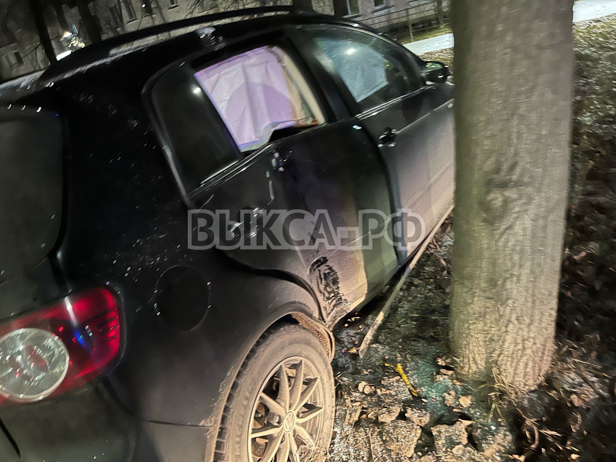 На улице Красные Зори Volkswagen врезался в дерево