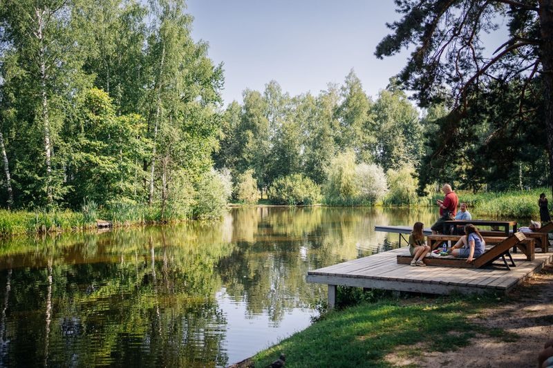 От выксунских лесов до областной Красной книги: история возвращения черного аиста