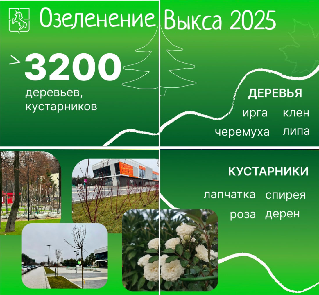 Более 3200 деревьев и кустарников высажено в округе за год