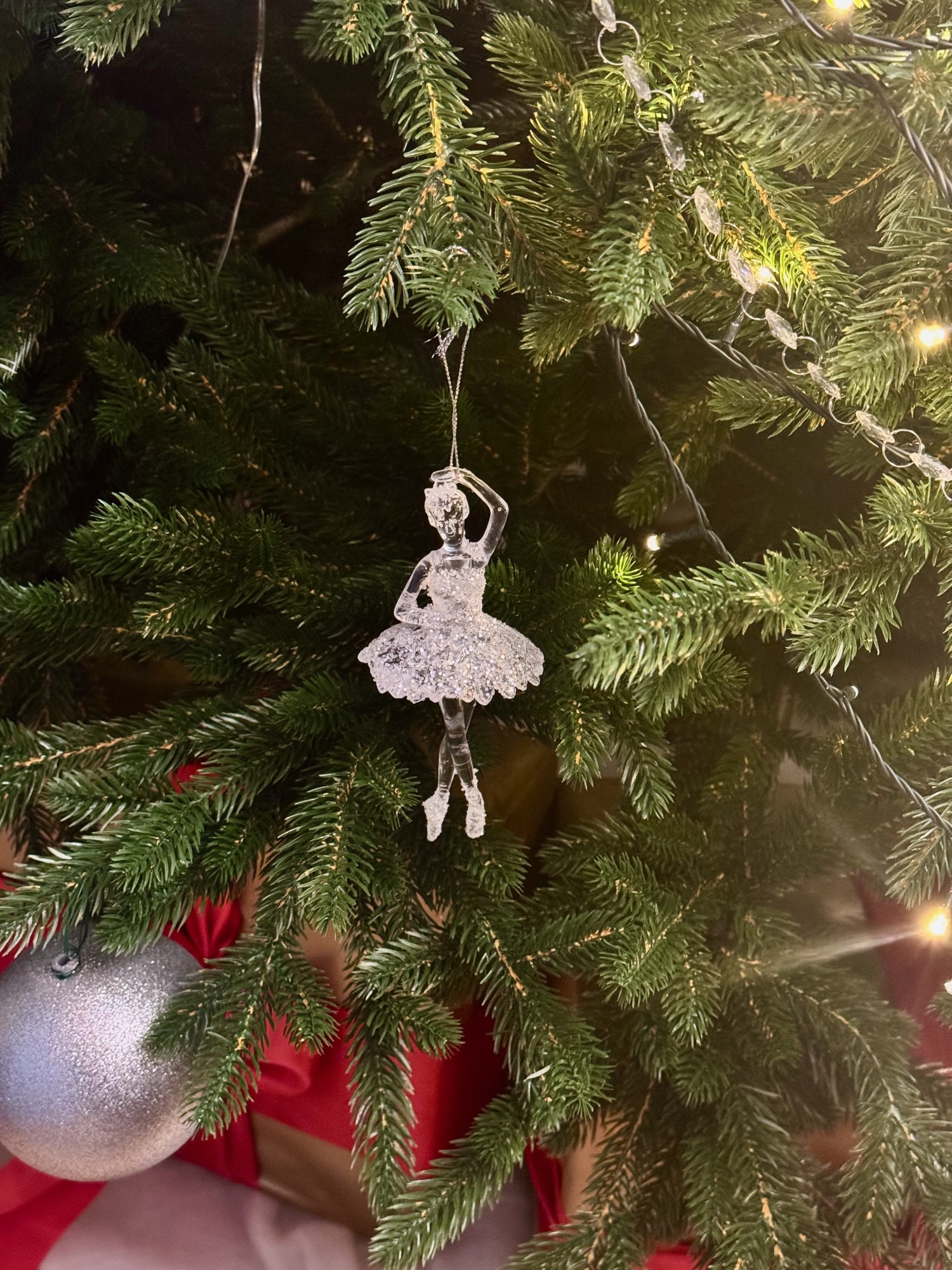 🎄Где купить живую елку?