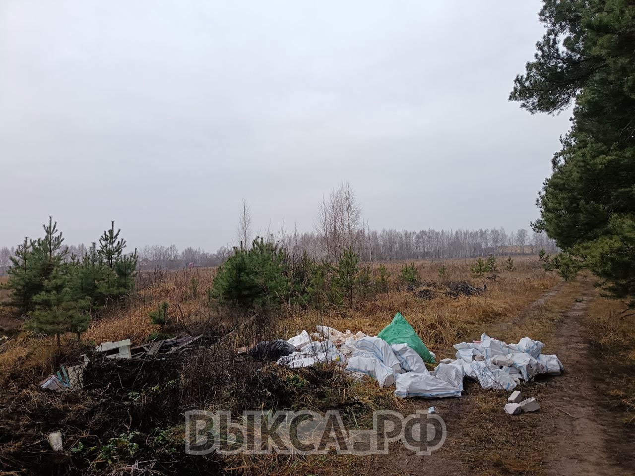 По иску прокуратуры в Выксе ликвидированы 17 несанкционированных свалок