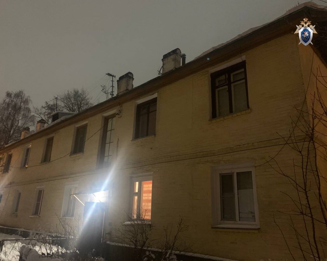 В Выксе возбуждено уголовное дело после падения снега и наледи на местную жительницу