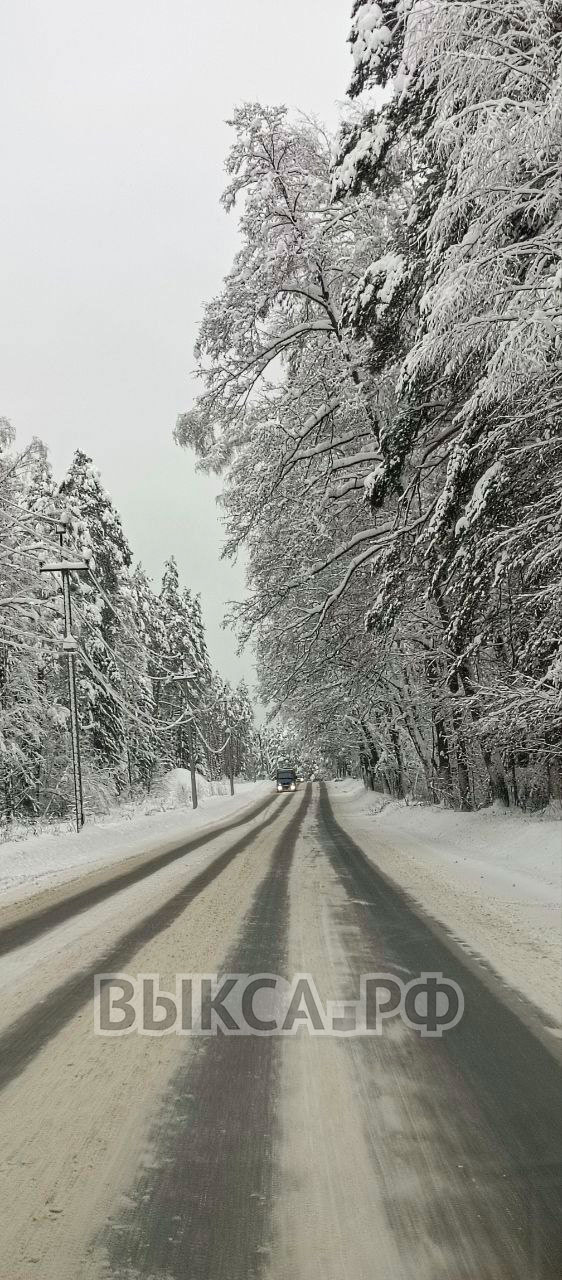 Красиво, но опасно!