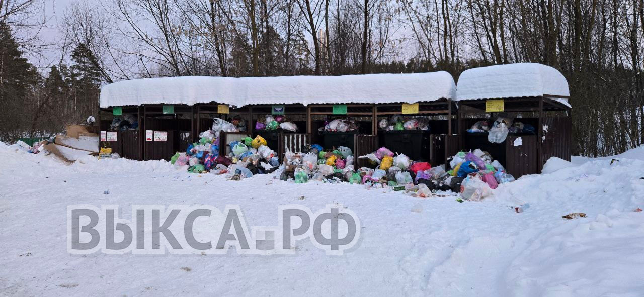 Когда вывезут мусор с контейнерных площадок?