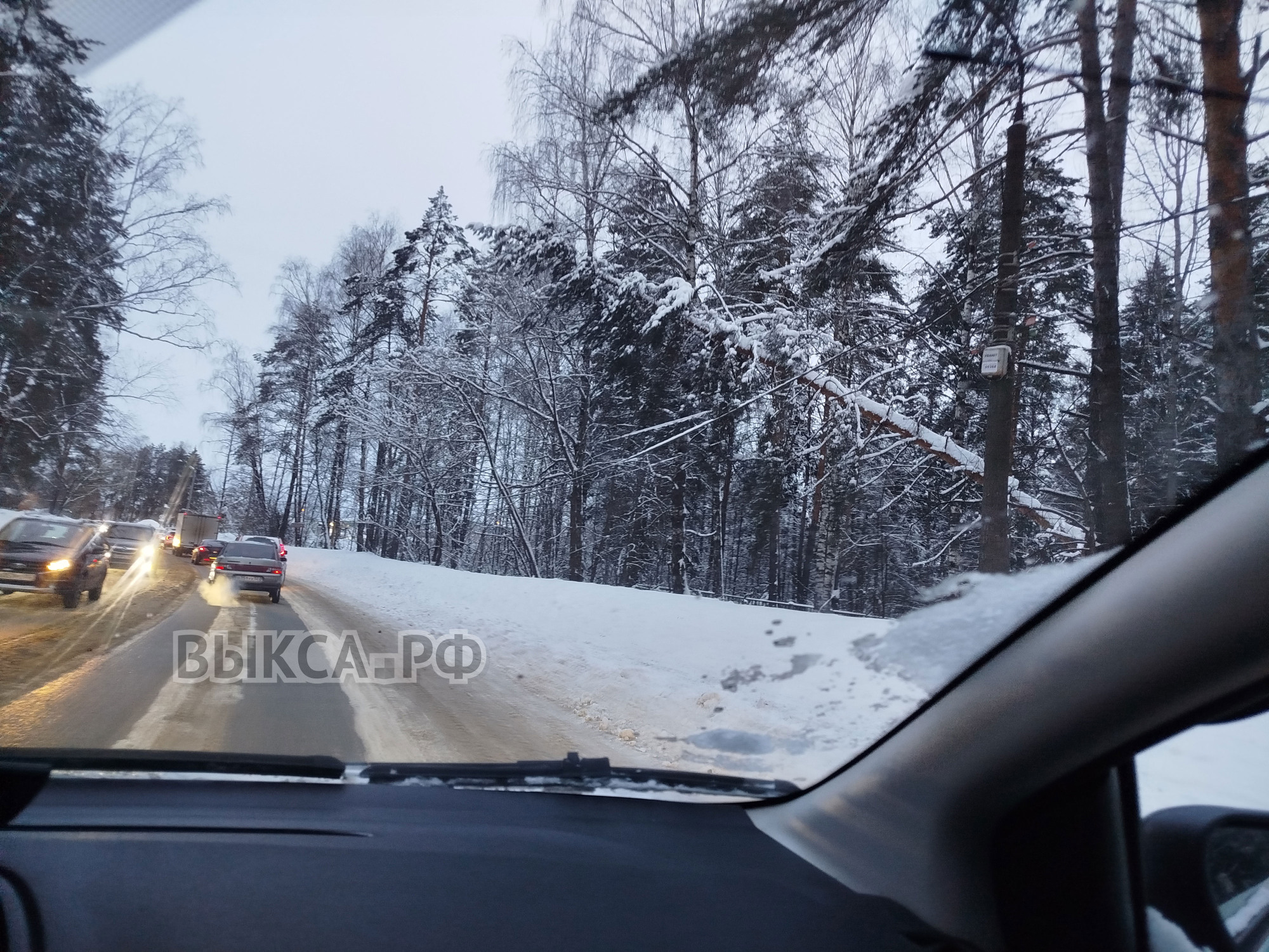 Аварийное дерево