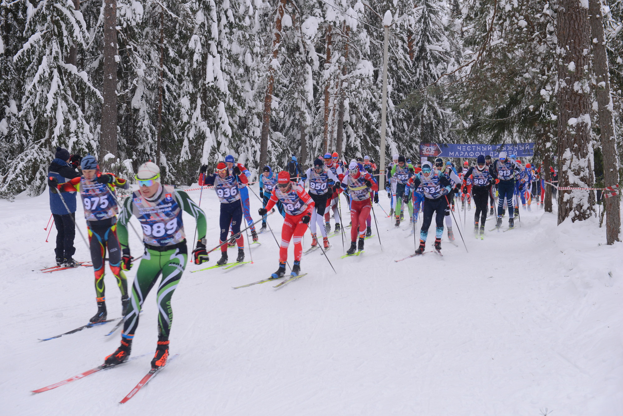 Двадцать шесть выксунских лыжников финишировали на марафоне в Гусь-Хрустальном