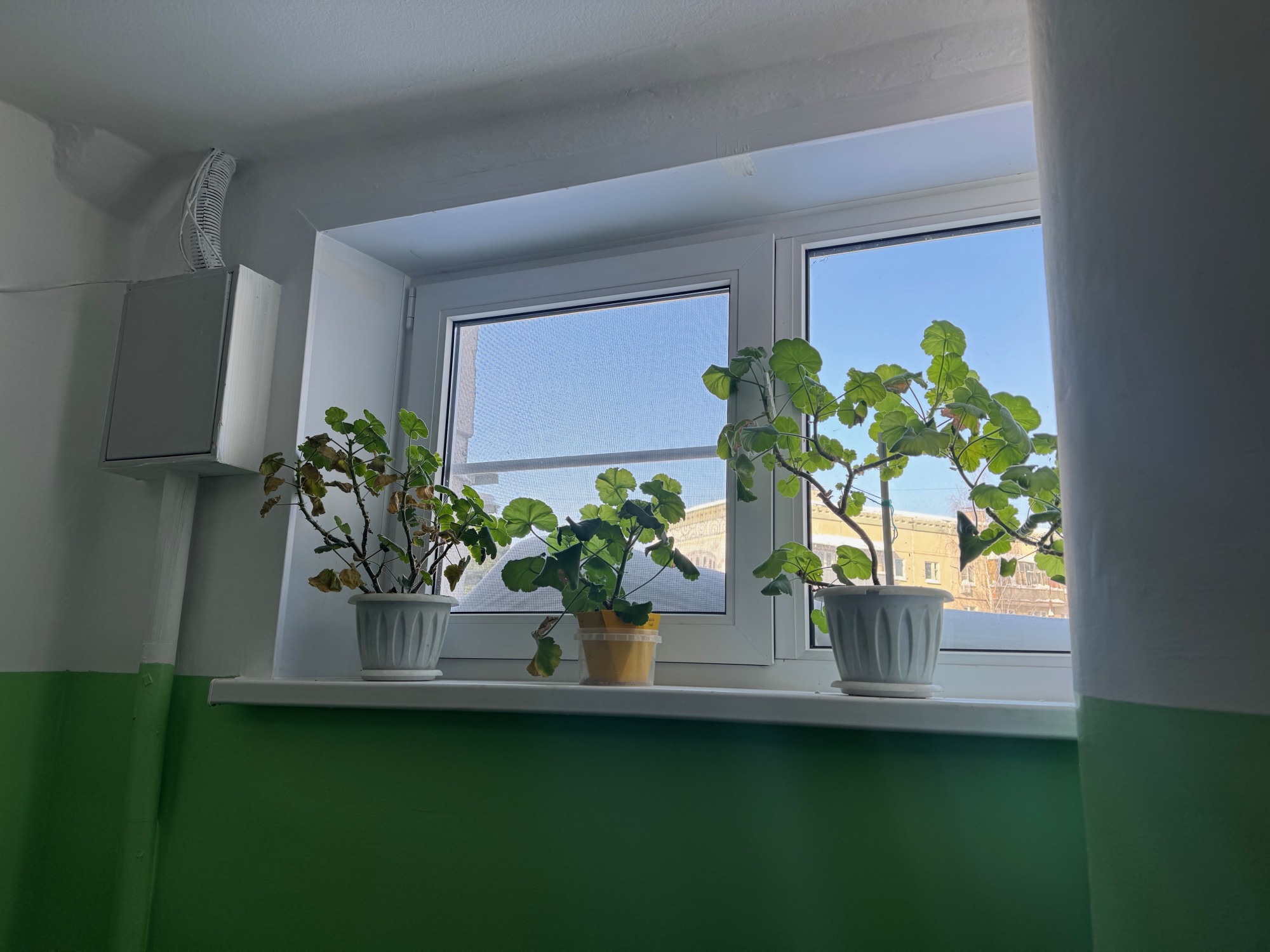 Подъезды в доме на Жуковского, 7 преобразились после ремонта