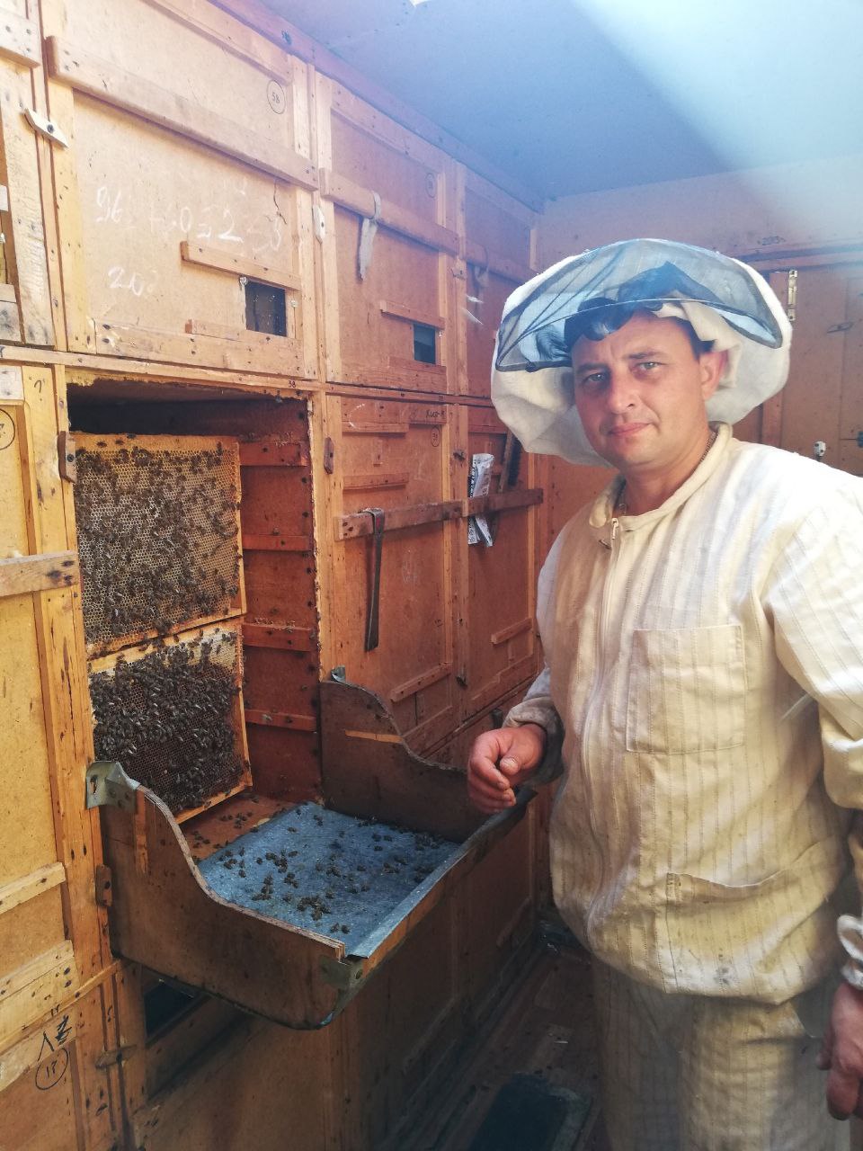 🍯 Ярмарка мёда в Выксе