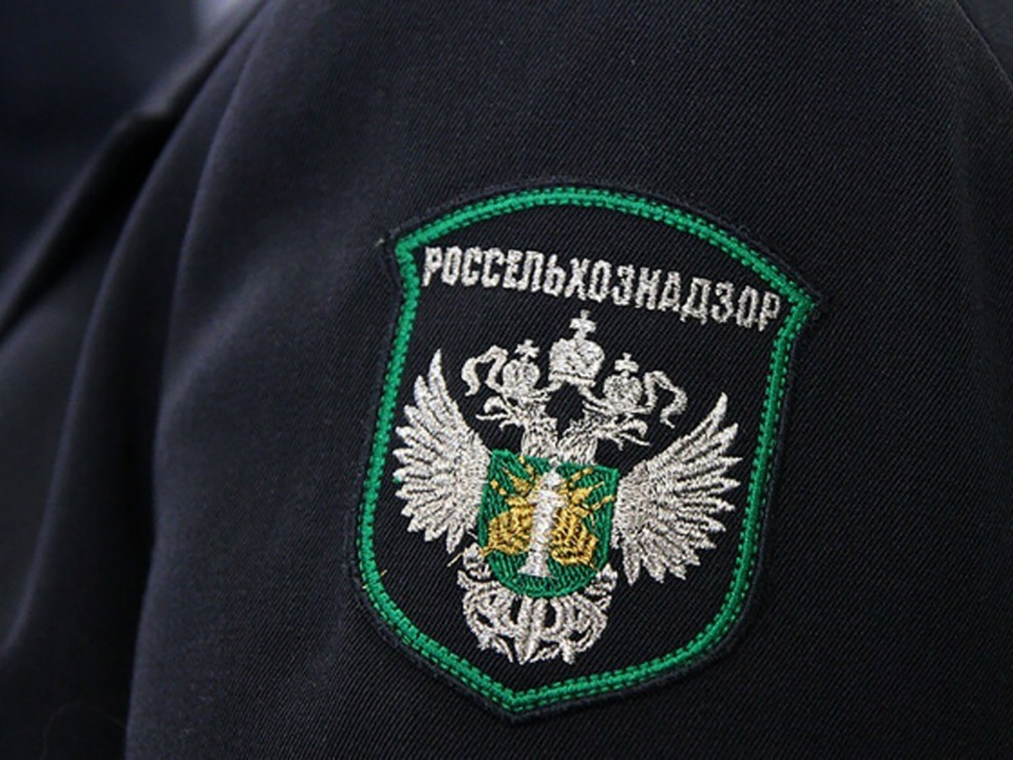 Россельхознадзор выявил нарушения в учете животных в Выксе и Нижегородской области